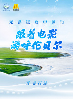 免费的激情网站